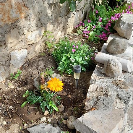 Apartmani Sanja Sibenik Bilik gambar
